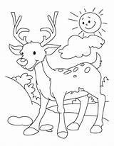 Deer Coloring Pages Animals Printable 2651 Kids Drawing Kb sketch template