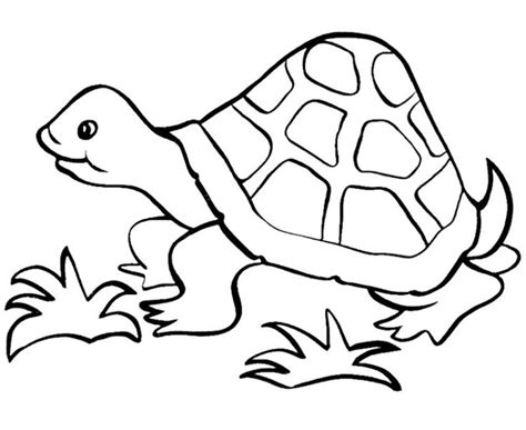 turtle coloring pages  kids turtle coloring pages animal coloring
