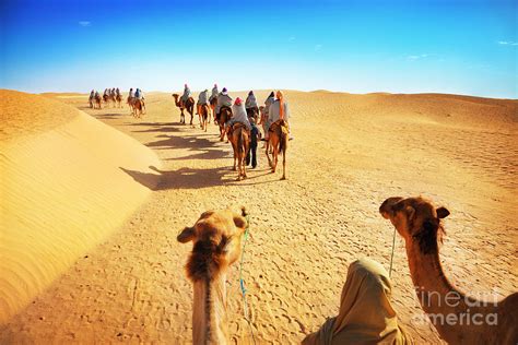 people   sahara desert photograph  adisa fine art america