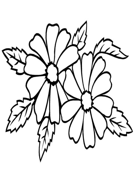 coloring pages collection  jasmine coloring pages
