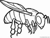 Bee Coloring4free Hive sketch template