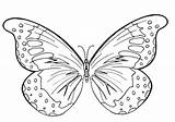 Butterfly Coloring Printable Pages Butterflies Cute Colouring Kids Drawings Wings Print Funchap Online Paintingvalley sketch template