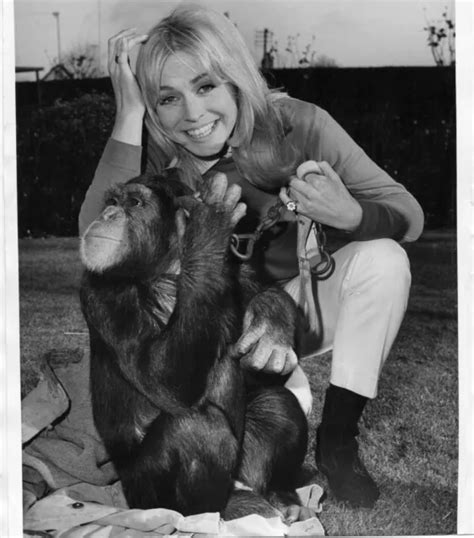 Suzy Kendall World Exclusive 58 Year Old Original 9x7 Dated Vintage