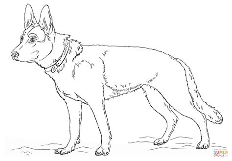 german shepherd dog coloring page  printable coloring pages