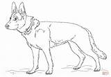 German Shepherd Simple Coloring Template Pages Templates sketch template