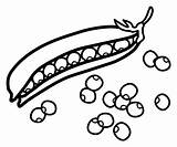 Peas Clipart Clip Cliparts Library sketch template