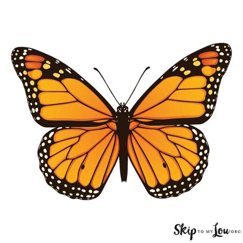 printable butterfly coloring pages  kids coolbkids monarch