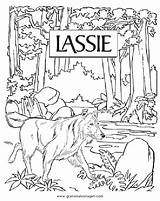 Lassie Malvorlage Ausmalen Malvorlagan sketch template
