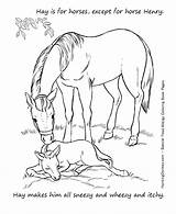 Coloring Pages Food Allergy Hay Activity Allergies Colouring Kids Honkingdonkey Sheet Horses Horse Group Teach Learn Educational Awareness Choose Board sketch template