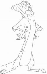 Timon Getcolorings Char sketch template