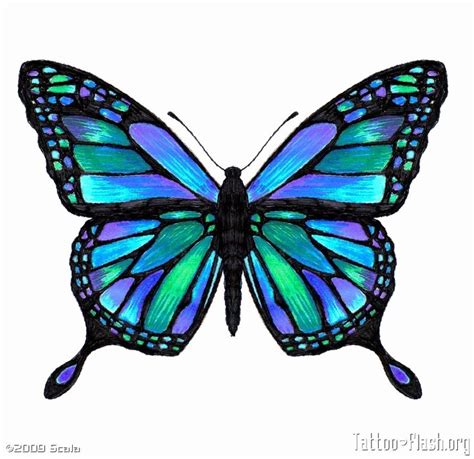 butterflies  draw clipart