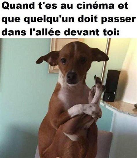 Meme Meme En Masse à Voir Sur Meme Gag La Référence Du Même Francophone