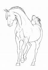 Arabian Lineart Stallion Realistic Suggestions sketch template