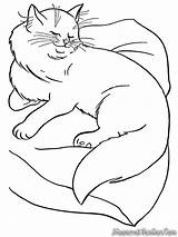Coloring Kucing Mewarnai Gambar Tidur Anggora sketch template