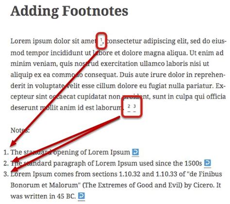 footnotes  wordpress skt themes