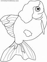 Goldfish Coloring Pages Colouring sketch template