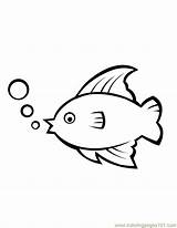 Fish Coloring Printable Pages Kabob Comments Template sketch template