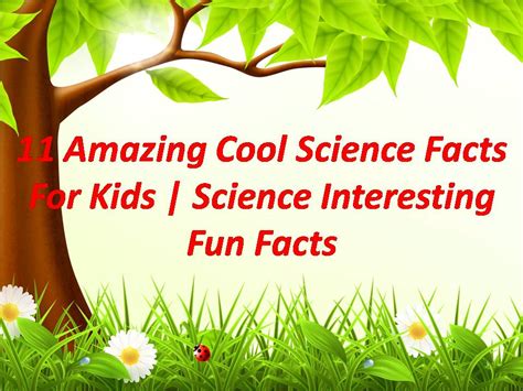 amazing cool science facts  kids science interesting fun facts