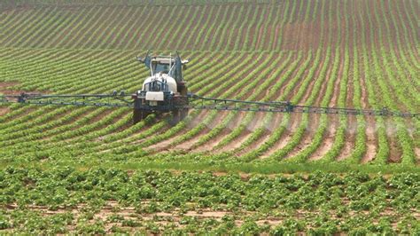 herbicide history types application facts britannica