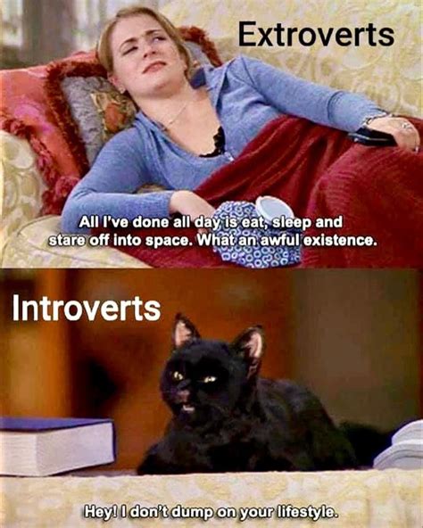 15 introverts in quarantine memes that are so relatable elle australia