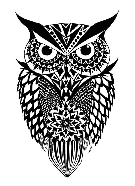 owl image    color owls kids coloring pages