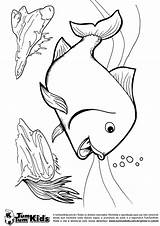 Peixe Nadando Colorir Peixes sketch template
