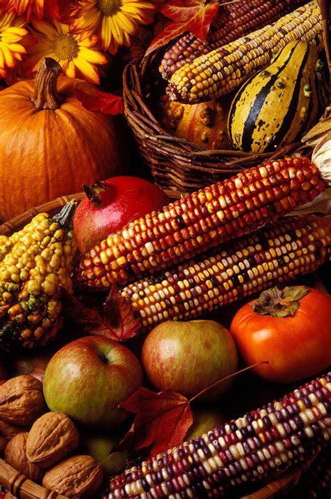autumn harvest photograph by garry gay fine art america