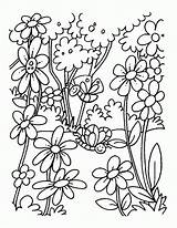 Coloring Pages Garden Flower Colouring Spring Flowers Library Clipart Field sketch template
