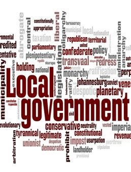 local government vidya