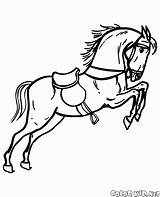 Cavalli Cavallo Circo sketch template