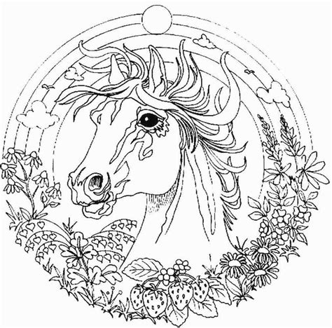 fantasy coloring pages  adults unc