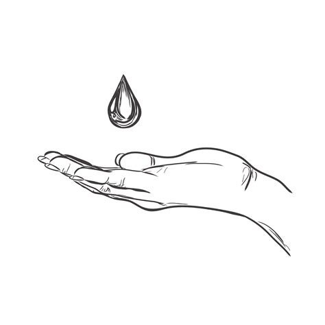 hand  drop  water food illustrations creative market