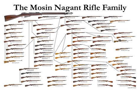 mosin nagant rife family    imgur family tree print mosin bargain hunting