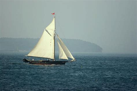 sailboats sail   wind