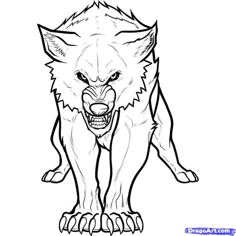 pin  gh gh  drawing references wolf head drawing wolf paw