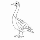 Goose Footed Designlooter sketch template