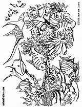 Sea Under Coloring Pages Drawing Activities Fun Print Getdrawings Coloringtop sketch template