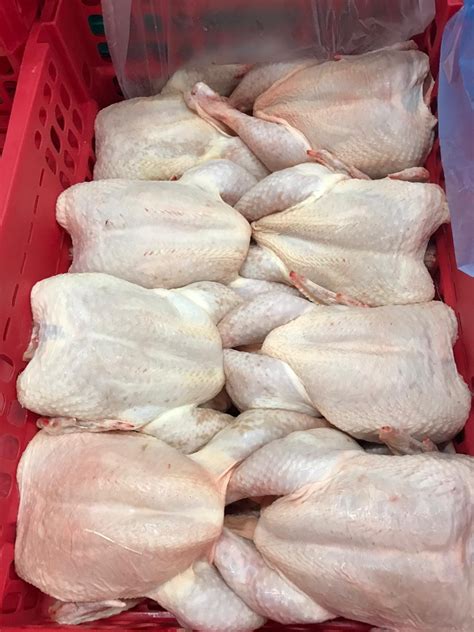 frozen chicken easy sourcing    chinacom