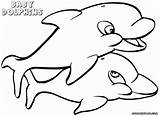 Baby Coloring Dolphin Pages sketch template