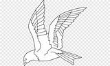 Burung Dara Mewarnai Merpati sketch template