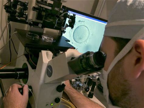 fertility clinics offer gay couples new pregnancy options