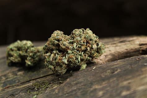 top  marijuana strains thatll   day brighter hellomd