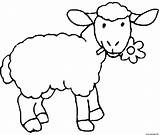 Mouton Mange Pecora Ovejas Borrego Schafe Oveja Cordero Schaf Sheep Moutons sketch template