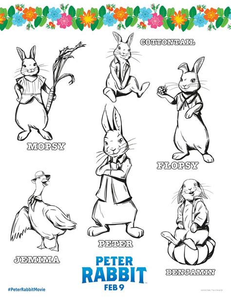 peter rabbit coloring page peter rabbit  friends peter rabbit
