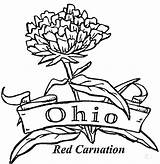 Ohio Coloring State Pages Brutus Buckeye Drawing Band Flower Carnation Pennsylvania Buckeyes Football Michigan Bow Mistletoe Majorette Mariachi Color Christmas sketch template