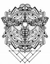 Sacred Geometry Geometric Zen Moth Sacre sketch template