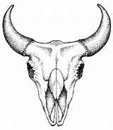 Skull Drawing Bull Clipart Head Steer Clip Boar Cliparts Line Bear Library Clipartbest Wild Getdrawings sketch template
