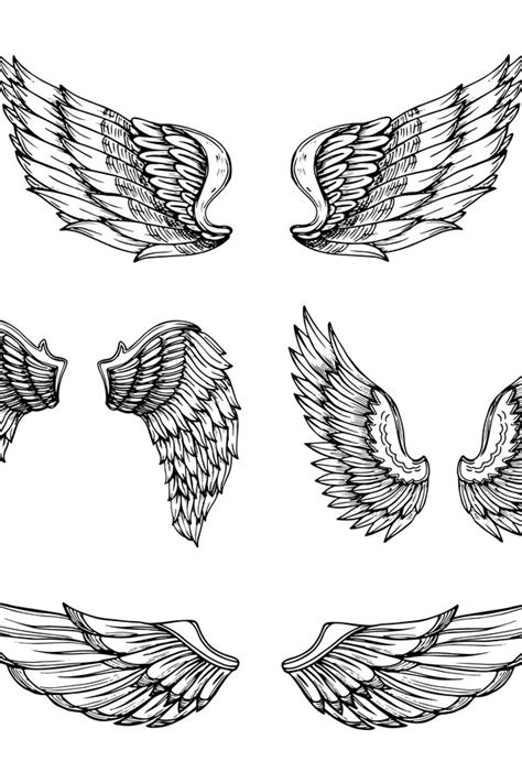 hand drawn wing sketch angel wings  feathers vector ta