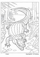 Getcolorings Swamp Siluetas Animales Karibik Reptiles 1827 Meilleures Australie Colouring Dover sketch template