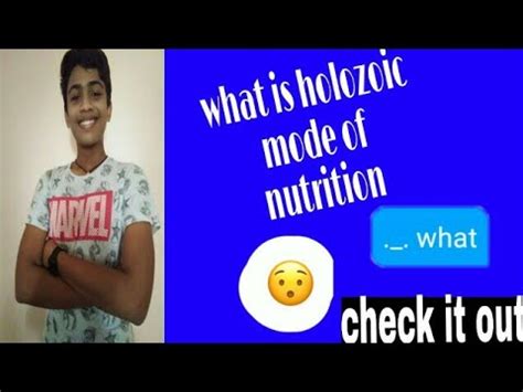 holozoic mode  nutrition  amoeba youtube